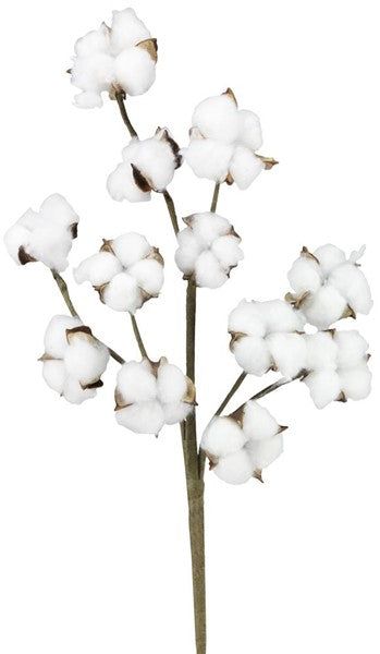 18.5" Cotton Pod Spray