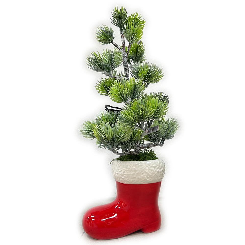 Christmas Carousel Collection - 14" Noble Fir in Santa Boot Container
