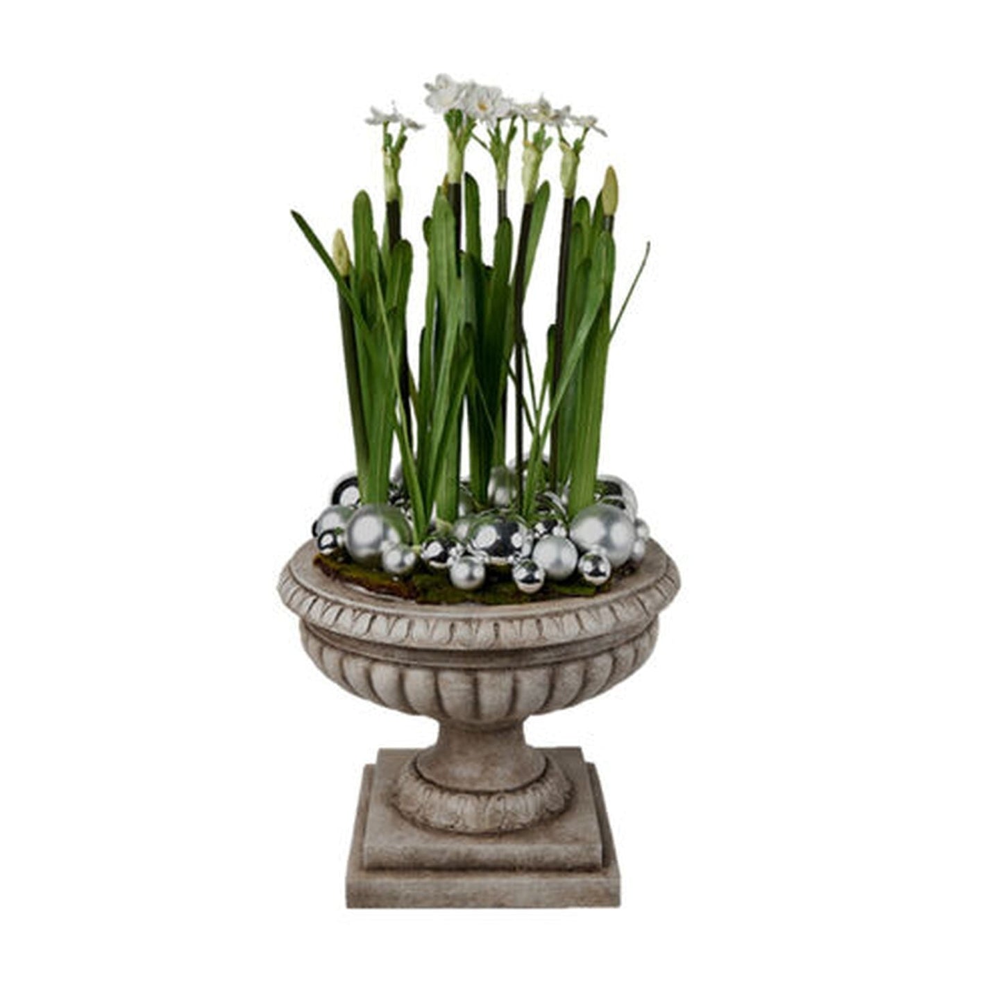 December Diamonds Winter Melody Paper Whites In Urn