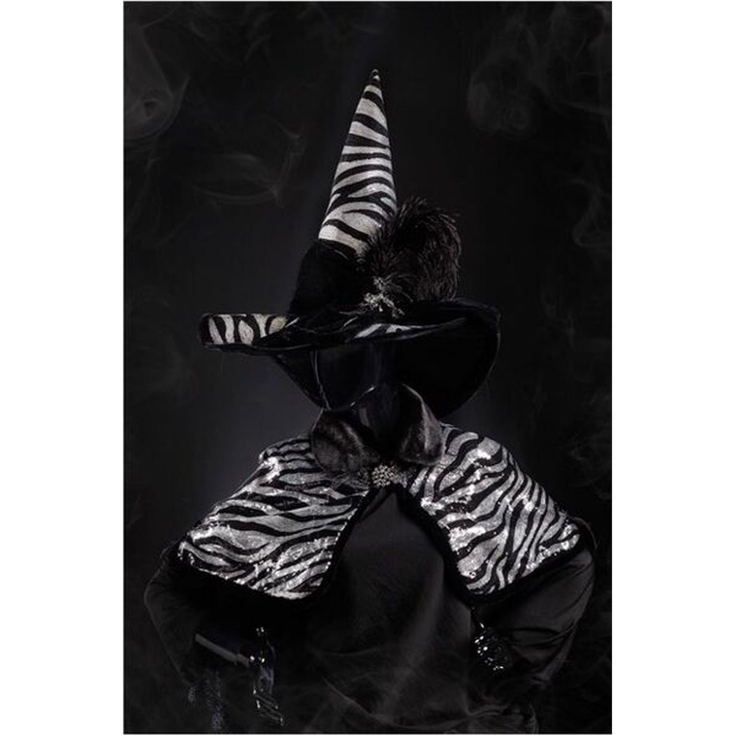 December Diamonds Witchery Set Of 2 Zebra Witch Cape And Hat