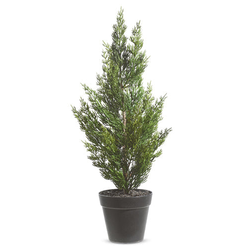 Raz Imports 2023 All Is Calm Potted Cedar Tree