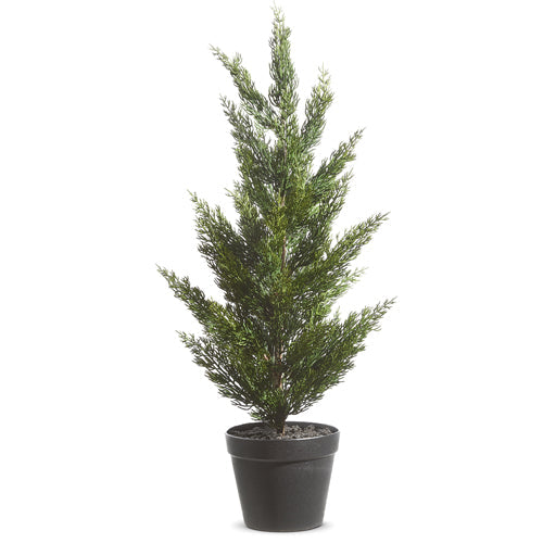 Raz Imports 2023 All Is Calm Potted Cedar Tree