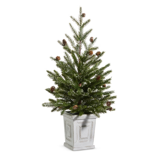 26" Pine Tree in White Container