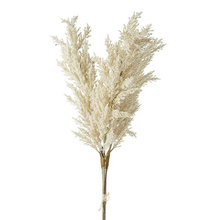 Raz Imports 2022 Autumn Abundance 36" Dried Pampas Grass Bundle