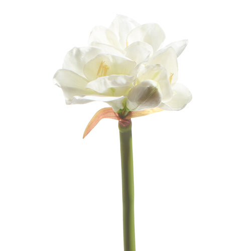 Raz Imports 2023 Bon Noel 23" Real Touch White Amaryllis Stem