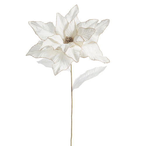 Raz Imports 2023 Classic Carols 32" Ivory Poinsettia Stem