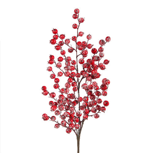 Raz Imports 2023 Jingle & Cocoa 27.5" Snowy Red Berry Spray