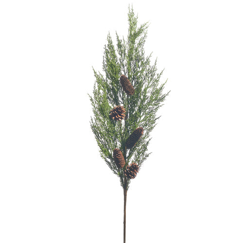 Raz Imports 2023 All Is Calm 42" Cedar With Pinecone Branch