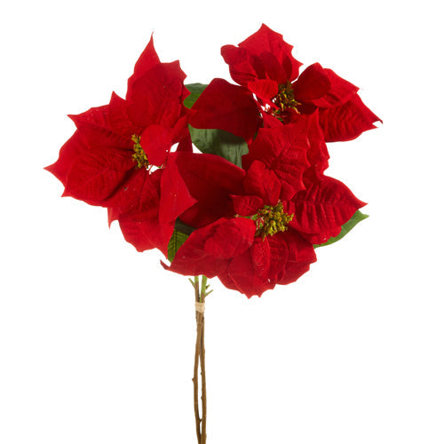 Raz Imports 2023 O Tannenbaum 29" Poinsettia Bundle