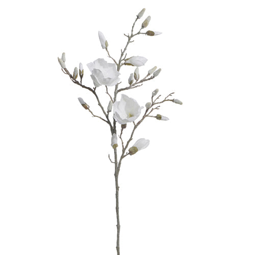 Raz Imports 2023 Bon Noel 40" Glittered Magnolia Branch