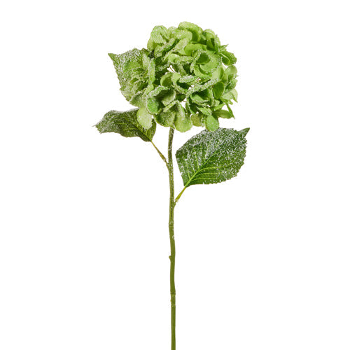 25" Iced Green Hydrangea Stem