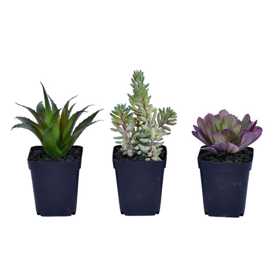 7" Artificial Succulent, Black Plastic Planters Pot - SET OF 3