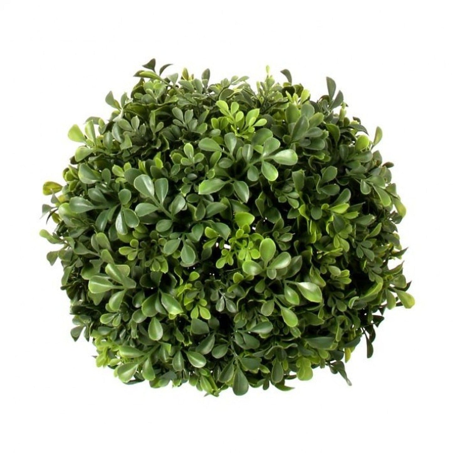 Regency International Plastic Uv Proof English Boxwood Ball 9"