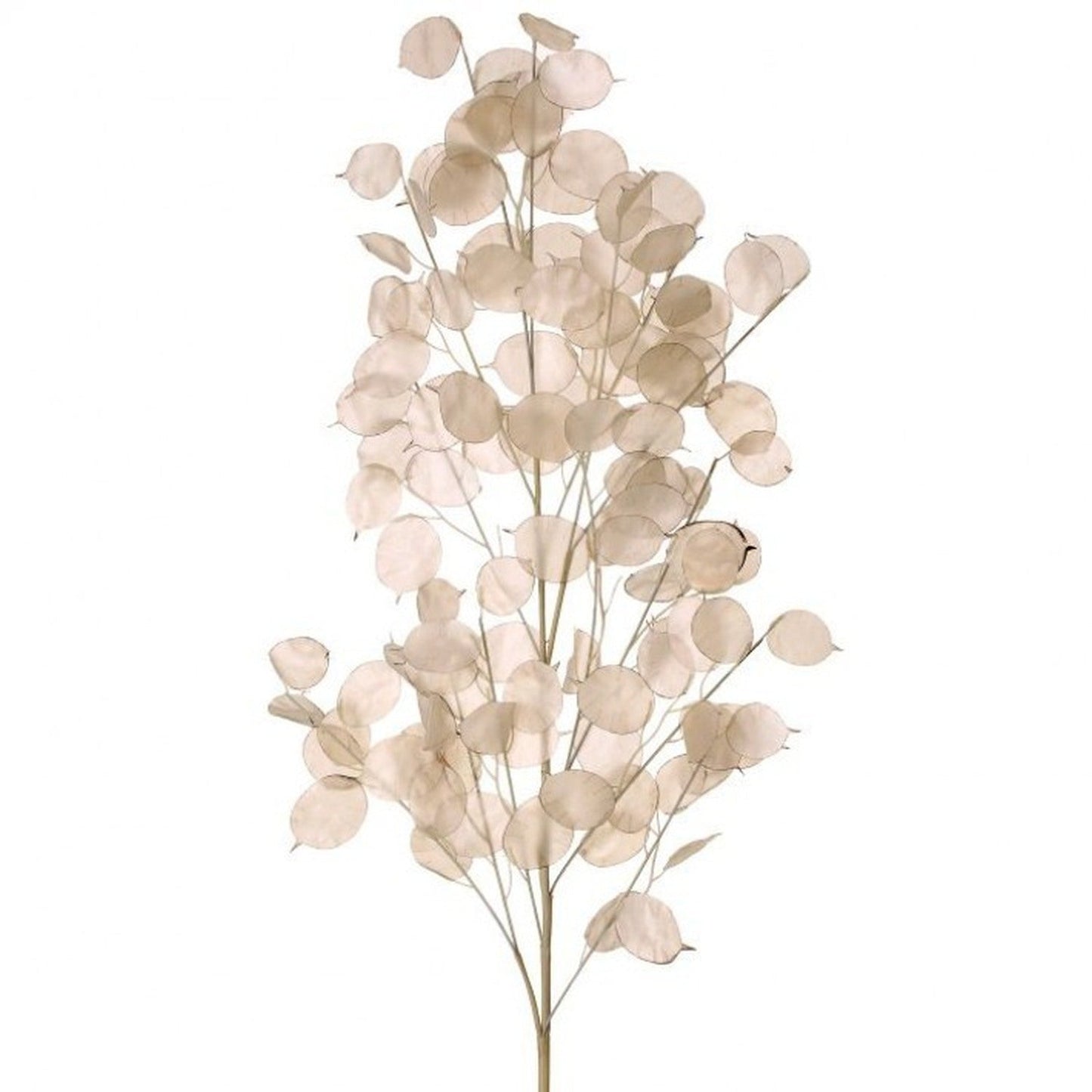 Regency International Plastic  Lunaria Branch 41"