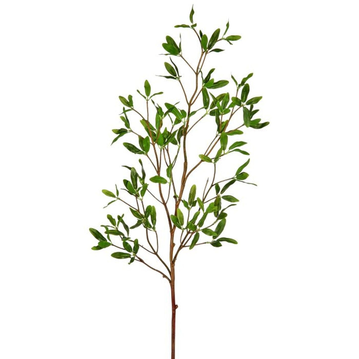 Regency International Asian Privet Spray 33"