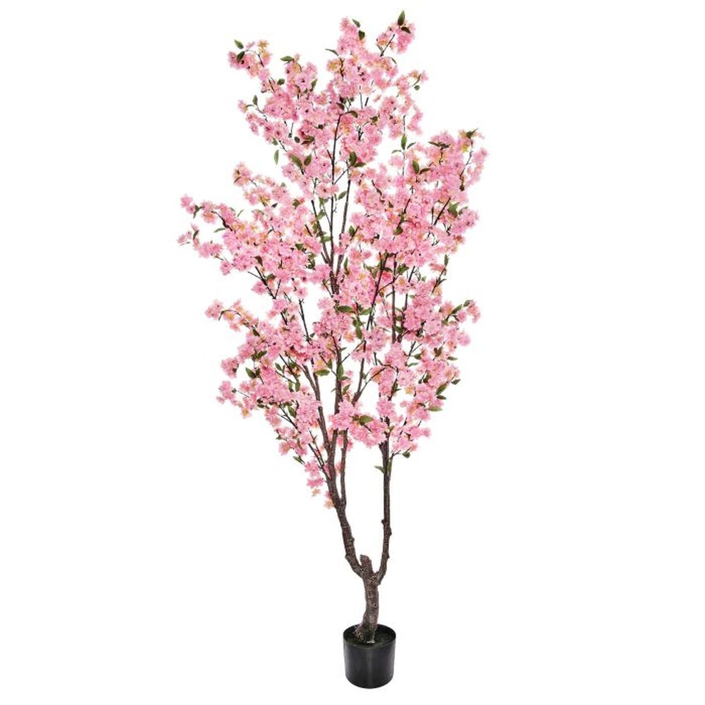 Regency International Potted Cherry Blossom Tree 6.5'