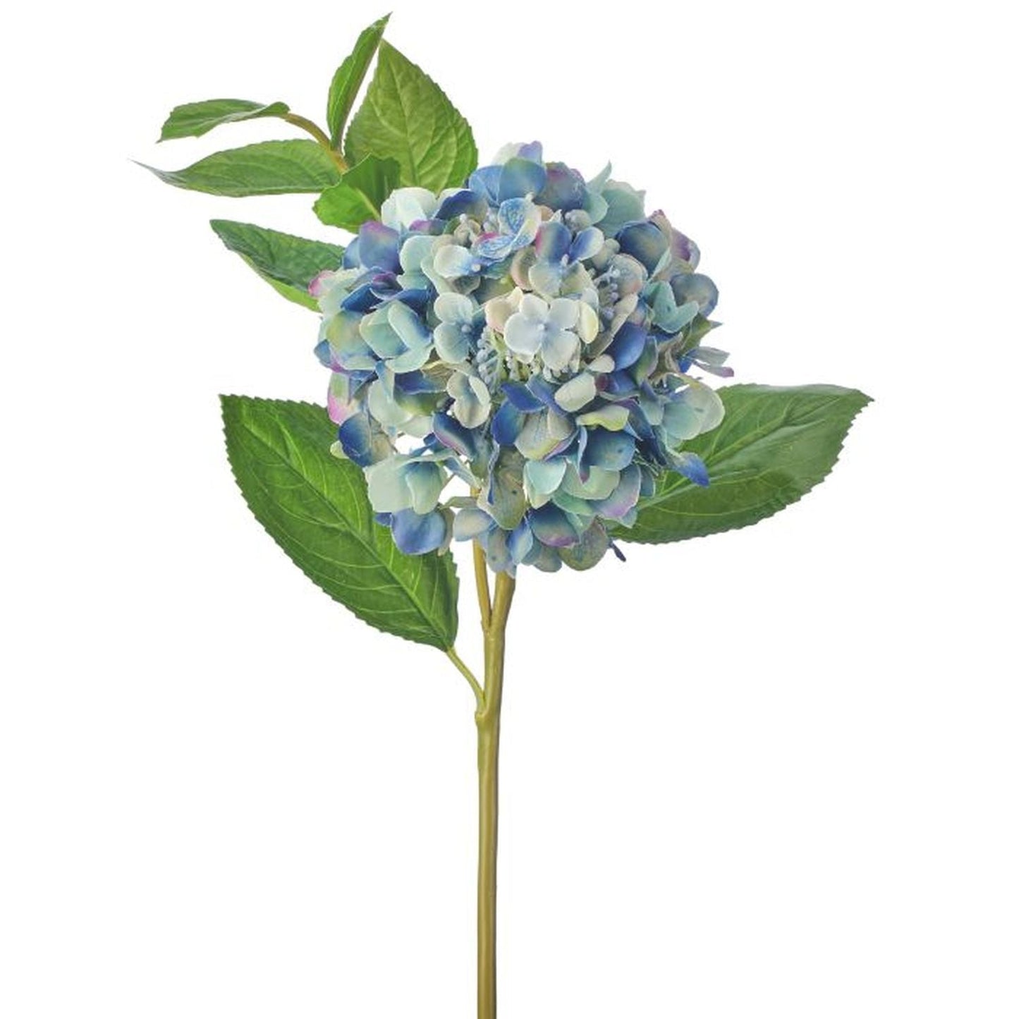 Regency International Just Cut New Growth Hydrangea 23"