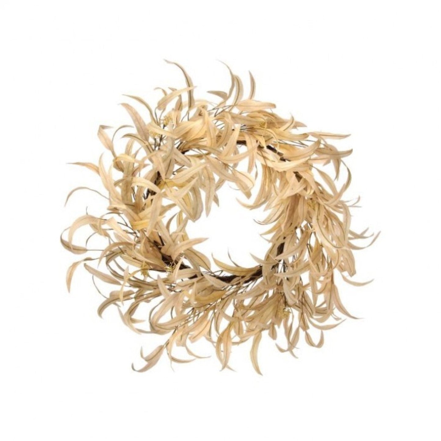 Regency International Bleached Long Leaf Eucalyptus Wreath 26".