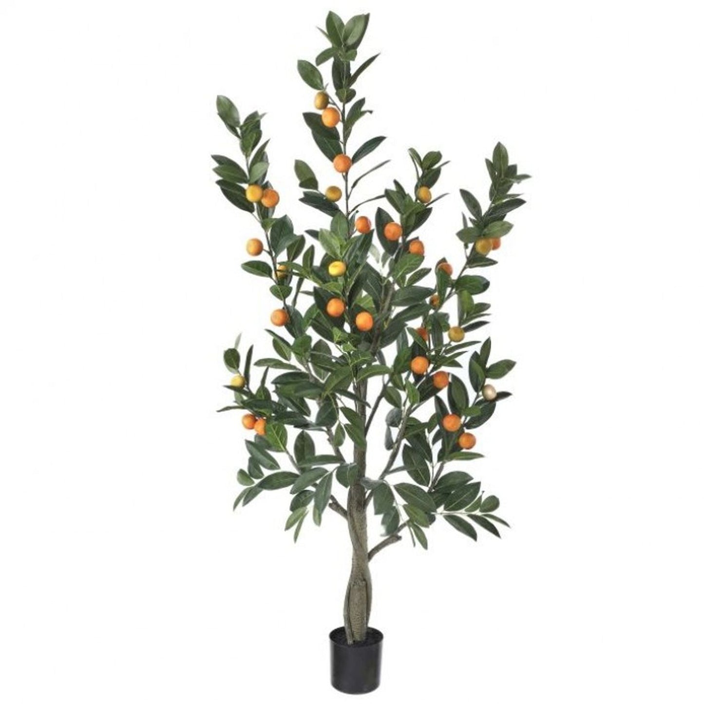 Regency International Potted Mandarin Tree With Oranges