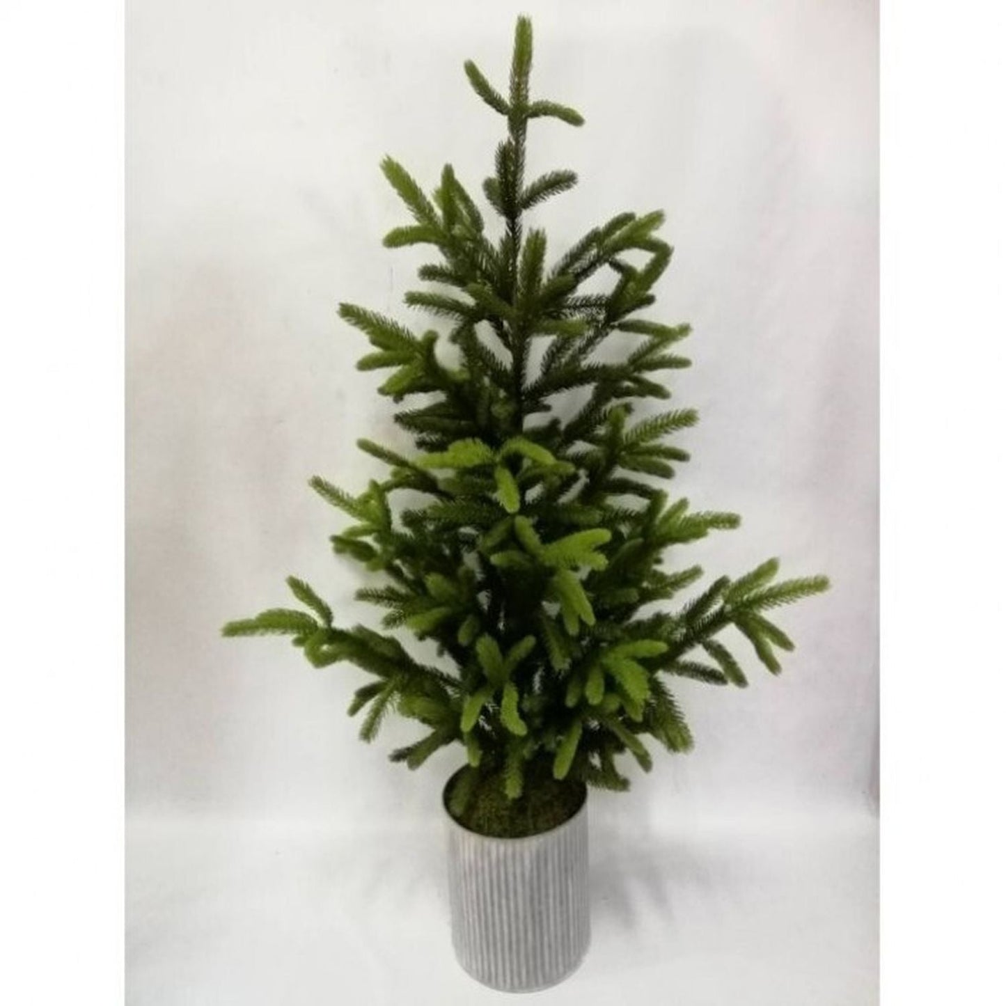 Regency International Potted Norway Spruce Tree