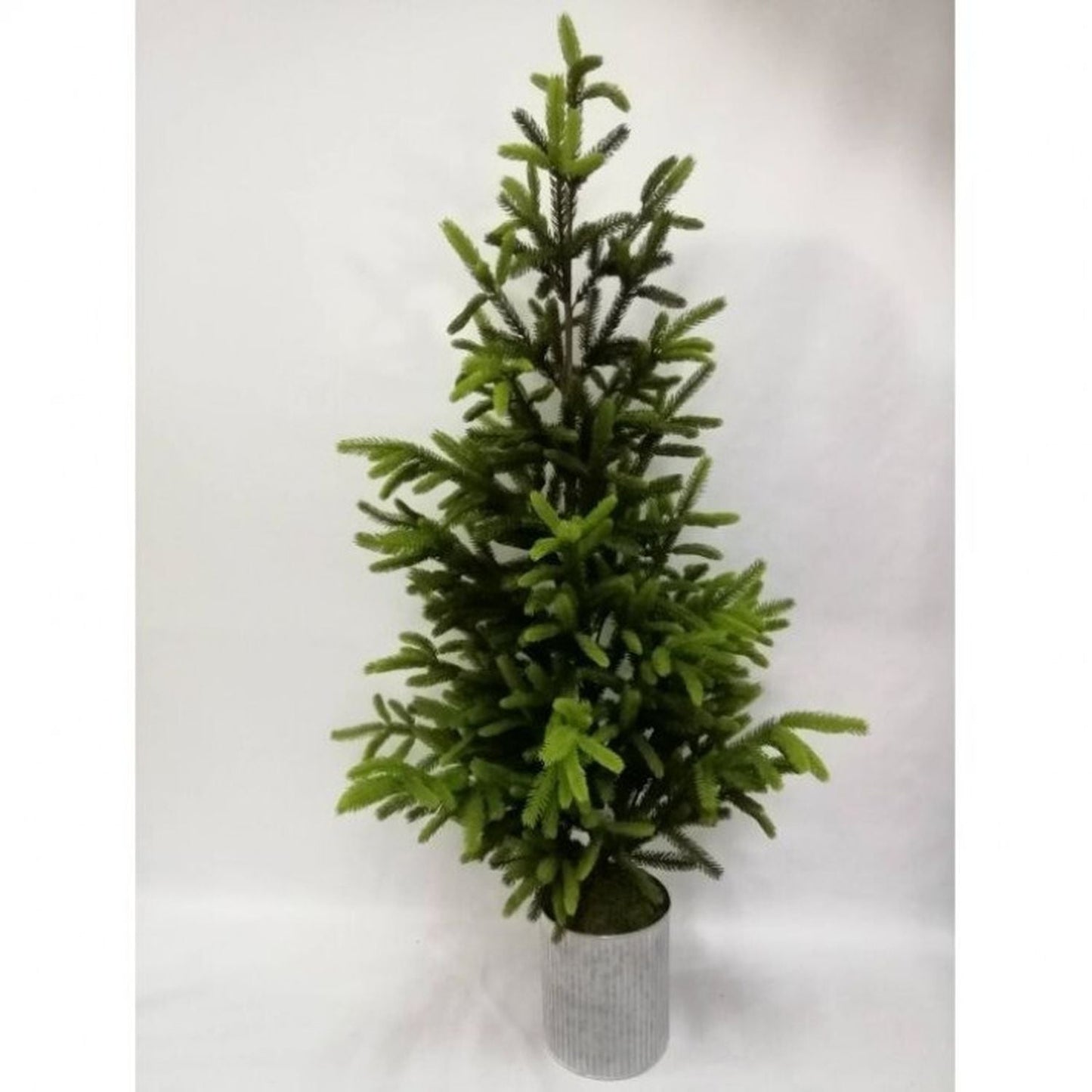 Regency International Potted Norway Spruce Tree