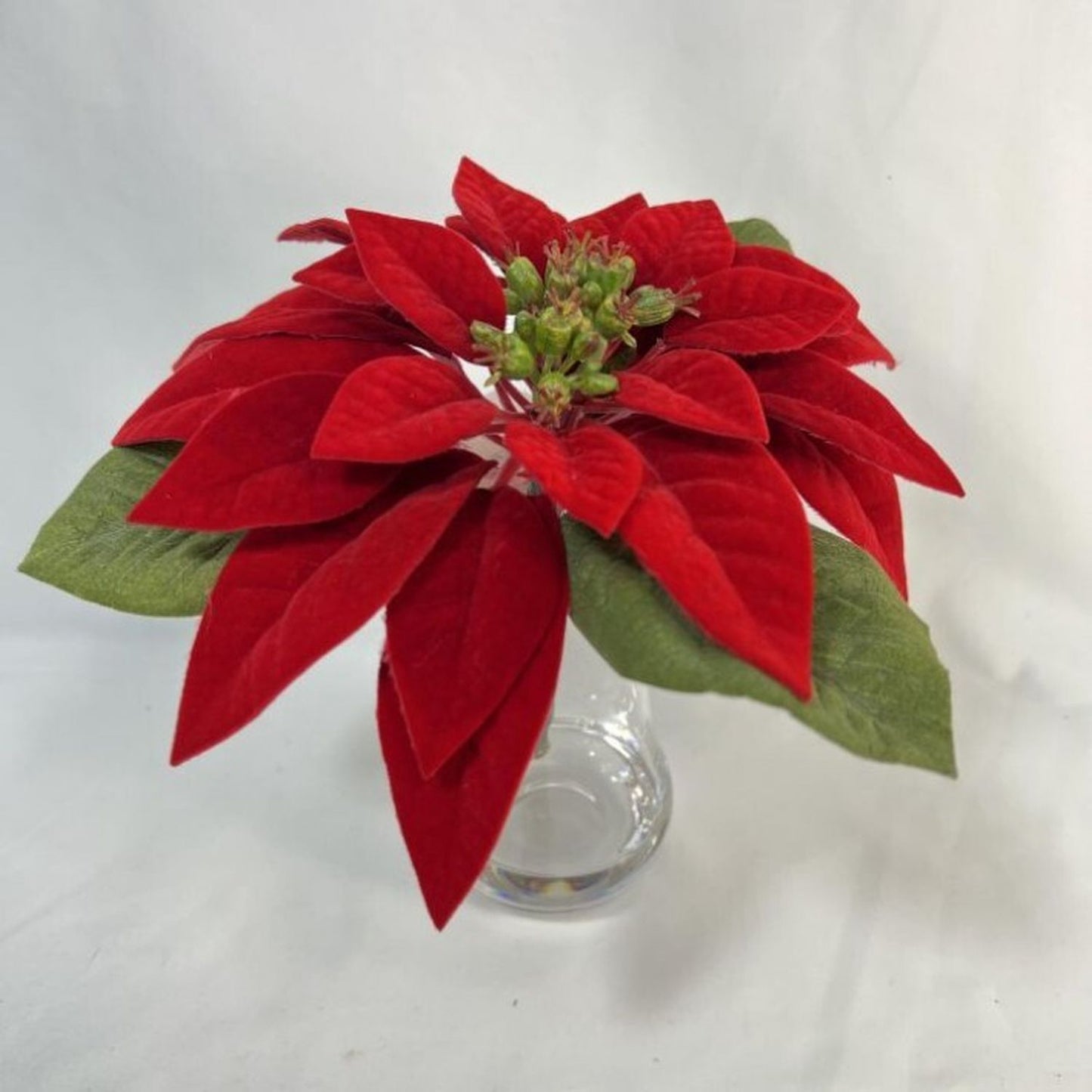 Regency International 9" Poinsettia In Glass Illusion