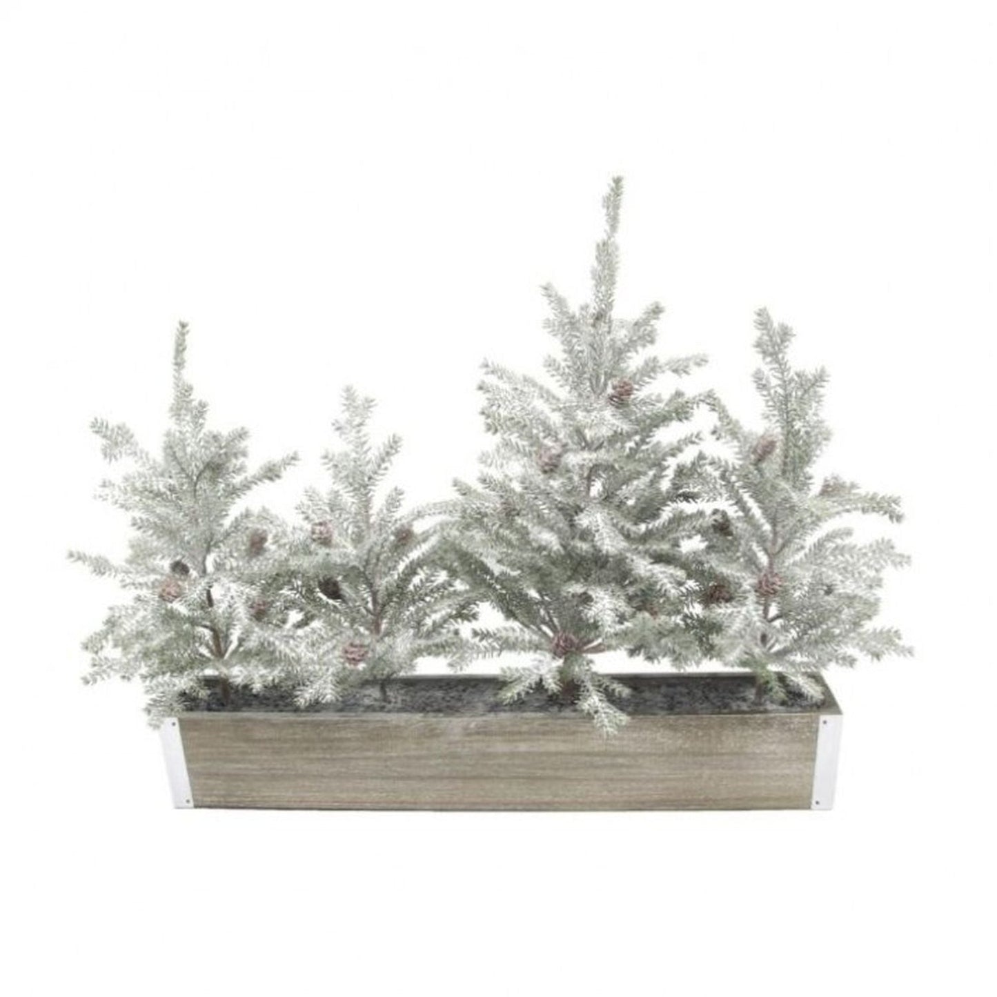 Regency International 21" Snw Pine Sappling Grove In Crate