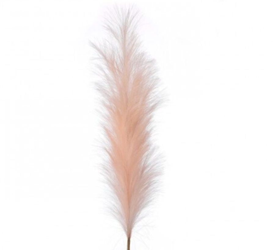 Santa's Sweet Shoppe Collection 40" PAMPAS PLUME