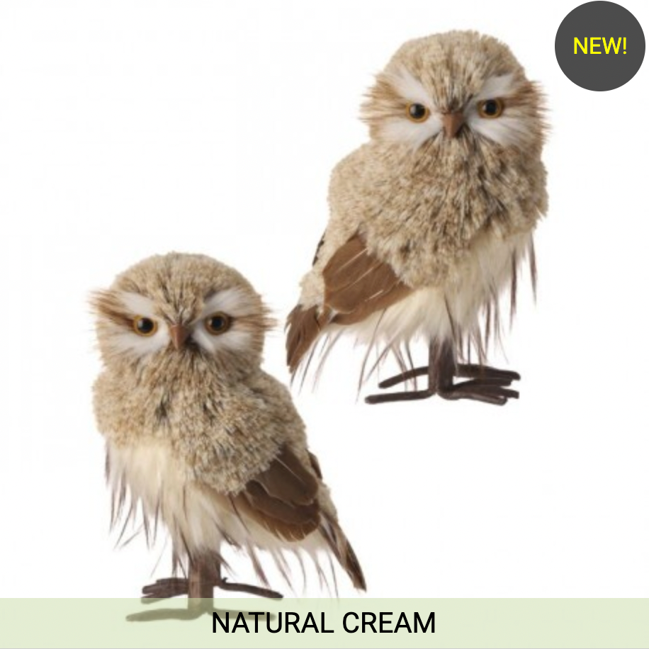 9" WINTER CHALET FEATHER OWL SET OF 2