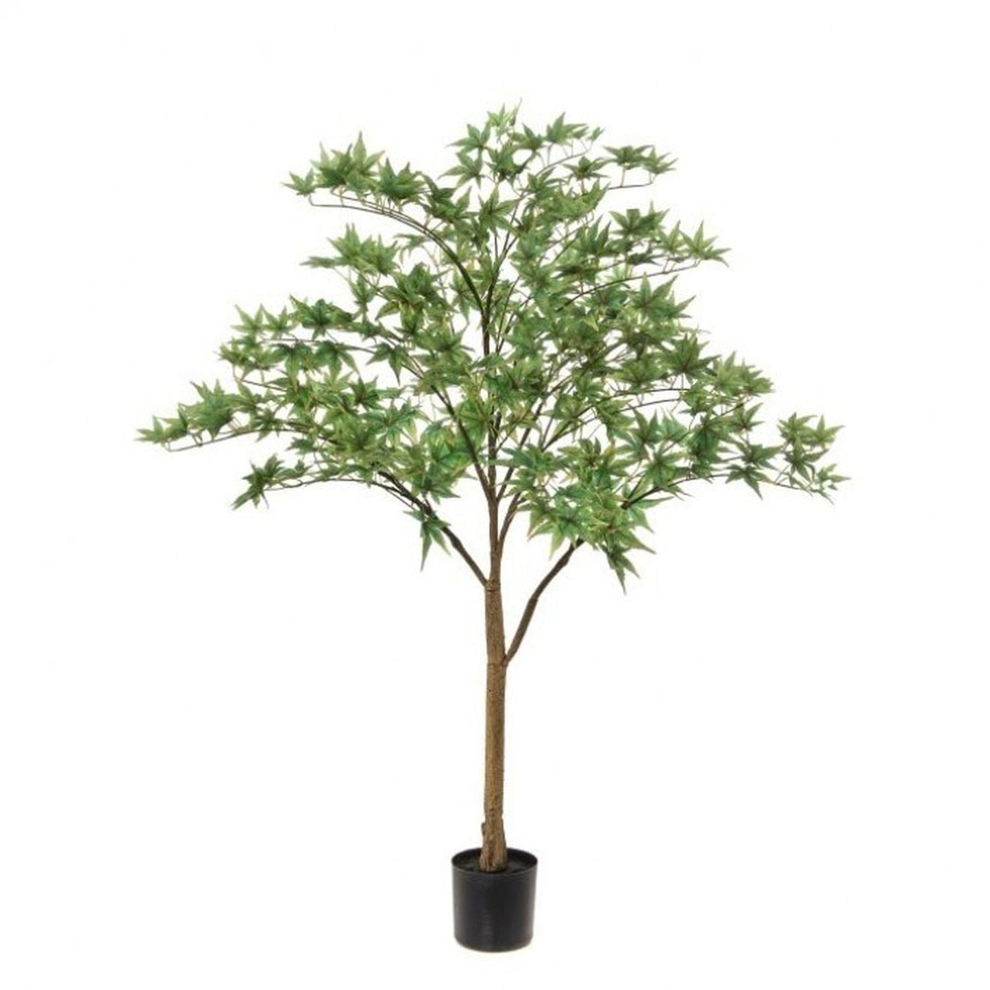 Regency International Potted Japanese Maple Tree 4'