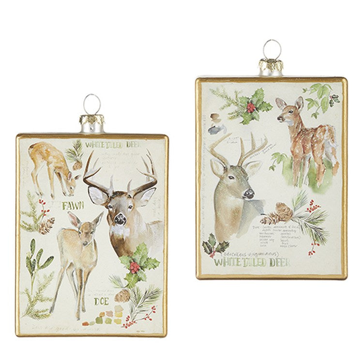 Raz Imports 2022 Christmas At The Lodge 5.5" Wildlife Journal Ornament, 2 Asst