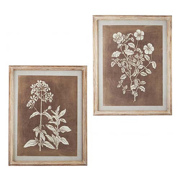 Raz Imports Back At The Ranch 23.75" Botanical Framed Wall Art, Asst of 2