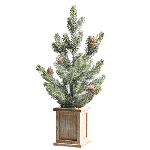 Raz Imports 2023 Natural Noel 18" Potted Pine Tree With Pinecones