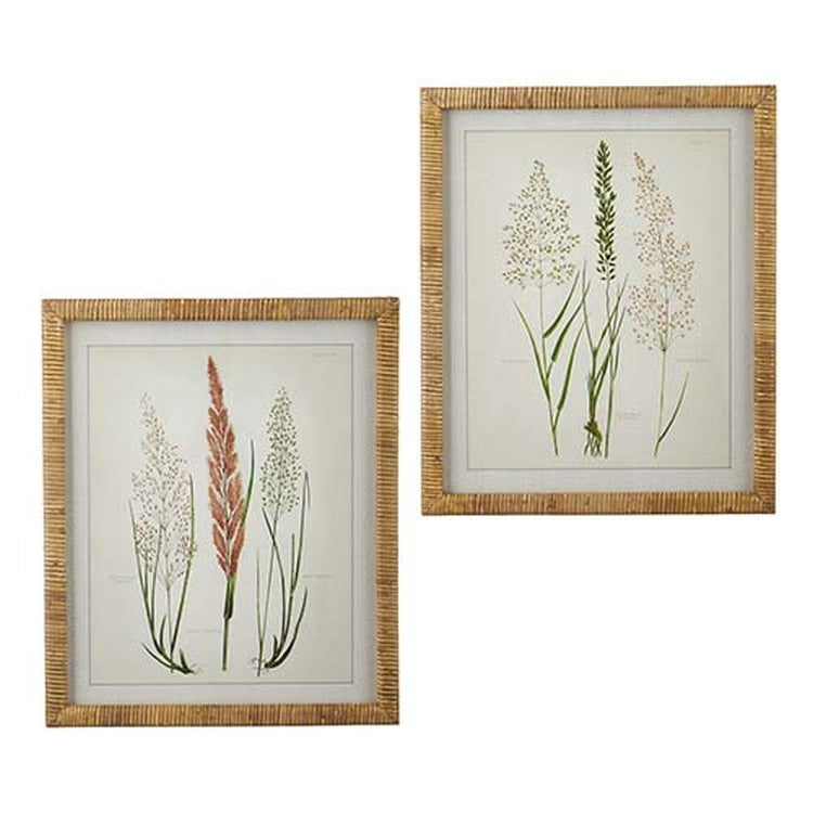 Raz Imports Natural Surroundings 20" Dried Botanical Rattan Framed Print, 2 Asst