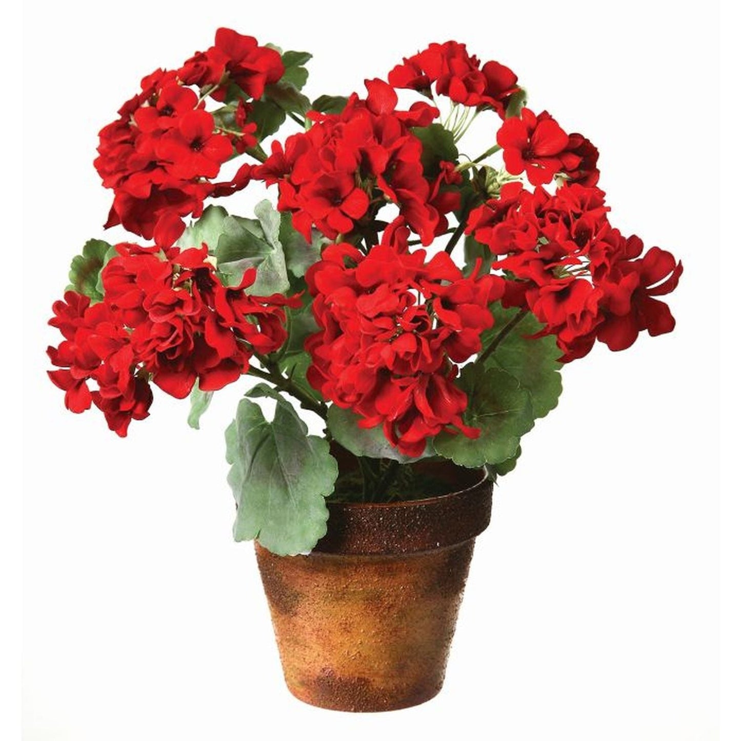 Regency International Ptd.Velv.Geranium 16"