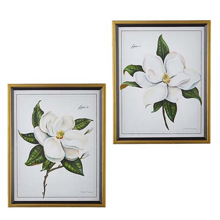 Raz Imports Greenbrier 28" Magnolia Framed Print, Asst of 2