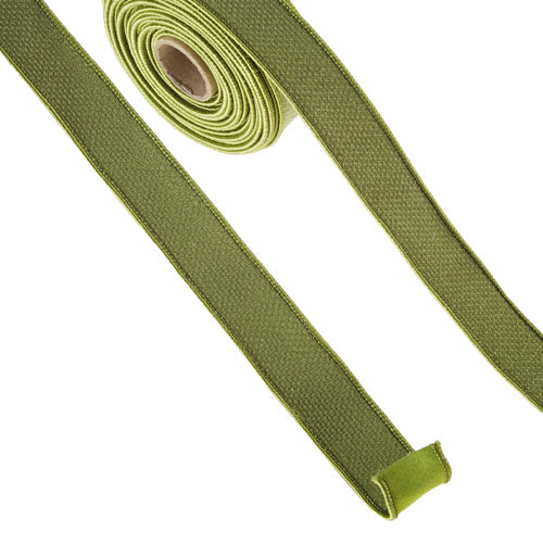 Raz Imports Ribbon 2023 Green Wired Ribbon