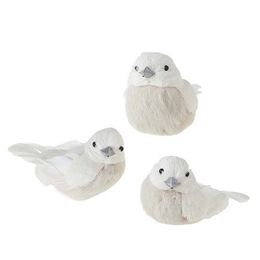 Raz Imports 2022 Winter Cottage 5" White Bird Ornament, Asst Of 3