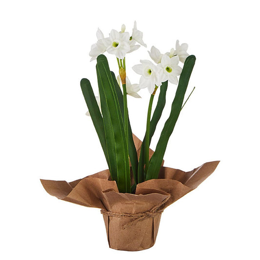 Raz Imports The Greenery Shop 10.75" Real Touch Potted Paperwhites