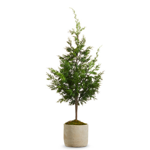 Raz Imports 2023 All Is Calm 38" Potted Cedar Tree