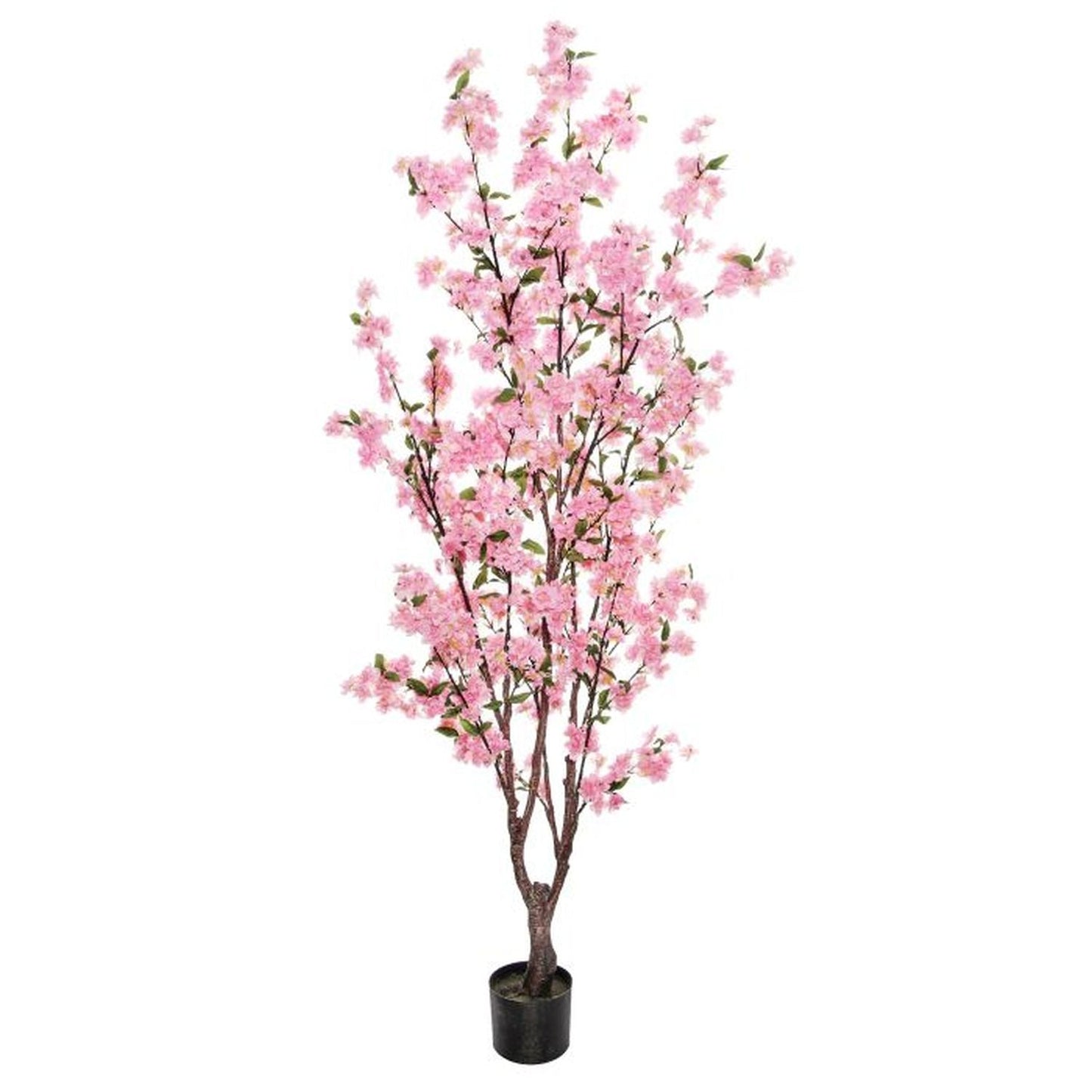 Regency International Potted Cherry Blossom Tree 5.5'