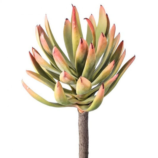 Regency International Plastic Mature Yucca Succulent 10"