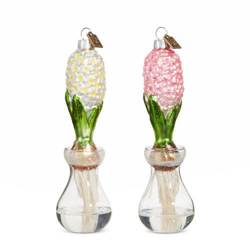 Raz Imports Eric Cortina 2023 6" Hyacinth Bulb Ornament, Asst of 2