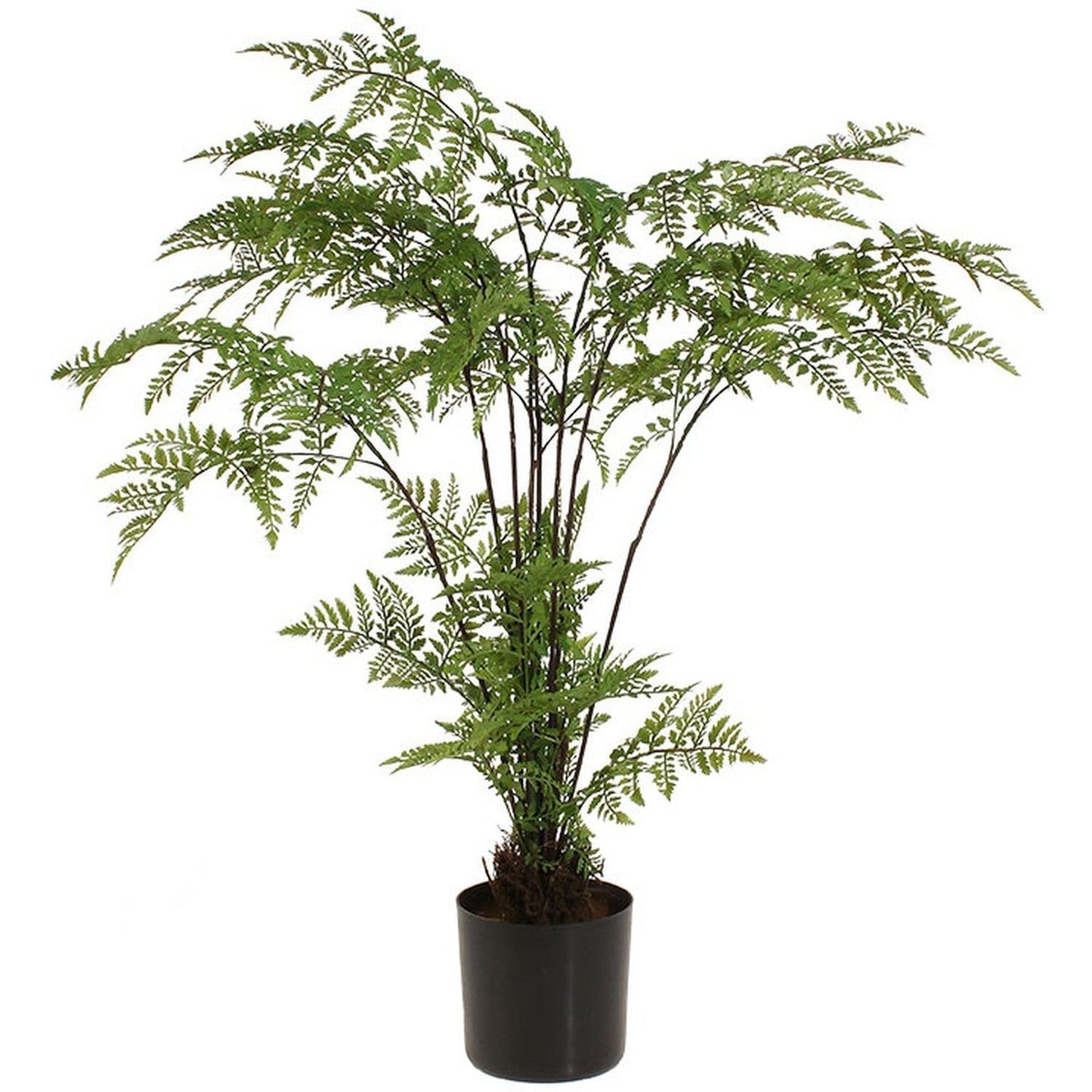 Raz Imports Botanical Farmhouse 26" Potted Fern.