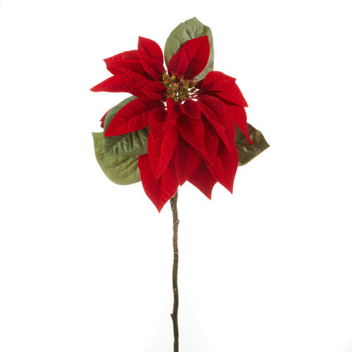 Raz Imports 2023 Classic Carols 23.5" Red Poinsettia Stem