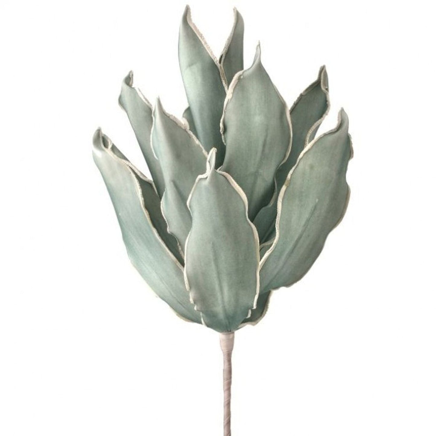 Regency International Foam Broad Leaf Succulent 32"