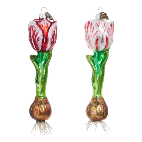 Raz Imports Eric Cortina 2023 6.5" Tulip Bulb Ornament, Asst of 2