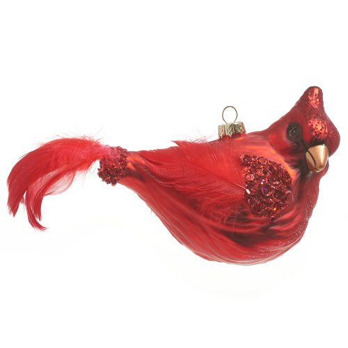 Raz Imports 2023 O Tannenbaum 8" Feathered Tail Cardinal Ornament