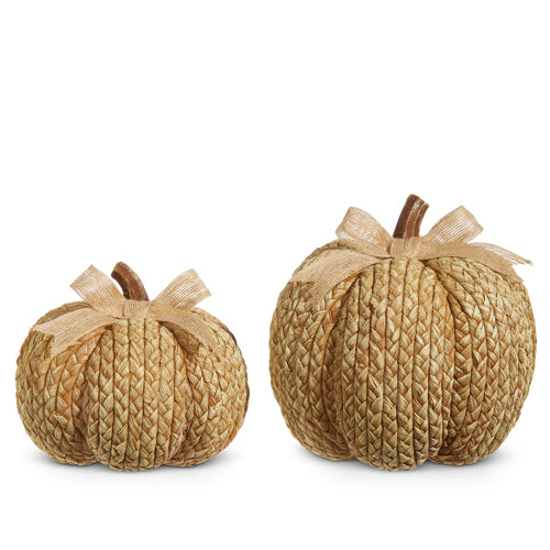 Raz Imports 2023 Holiday House 8" Rope Textured Pumpkins, Set of 2