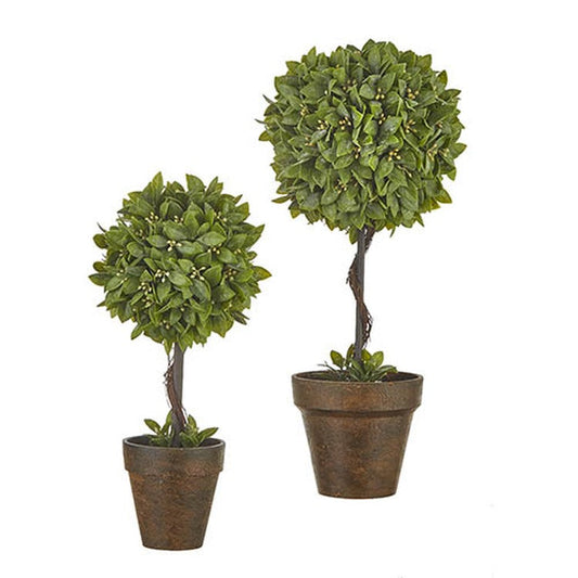 Raz Imports Boxwood 18" Boxwood Potted Topiary, Set of 2